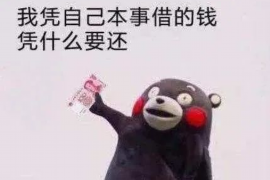 百色企业清欠服务